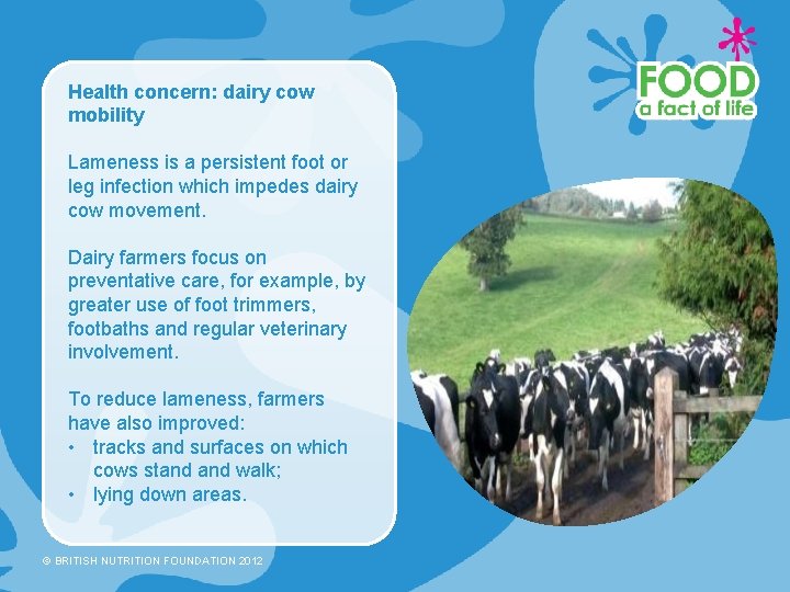 Health concern: dairy cow mobility Lameness is a persistent foot or leg infection which