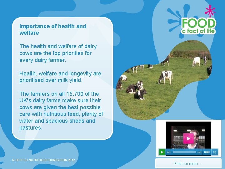 Importance of health and welfare The health and welfare of dairy cows are the