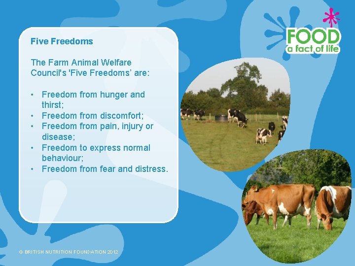 Five Freedoms The Farm Animal Welfare Council's 'Five Freedoms’ are: • Freedom from hunger