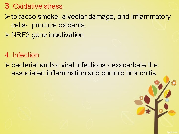 3. Oxidative stress Ø tobacco smoke, alveolar damage, and inflammatory cells- produce oxidants Ø