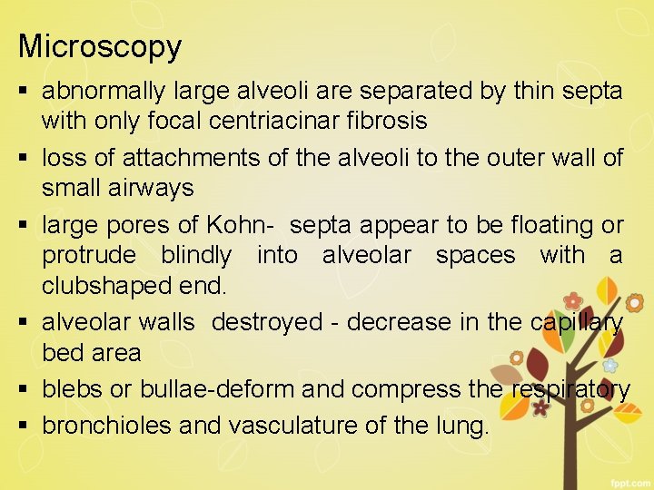 Microscopy § abnormally large alveoli are separated by thin septa with only focal centriacinar