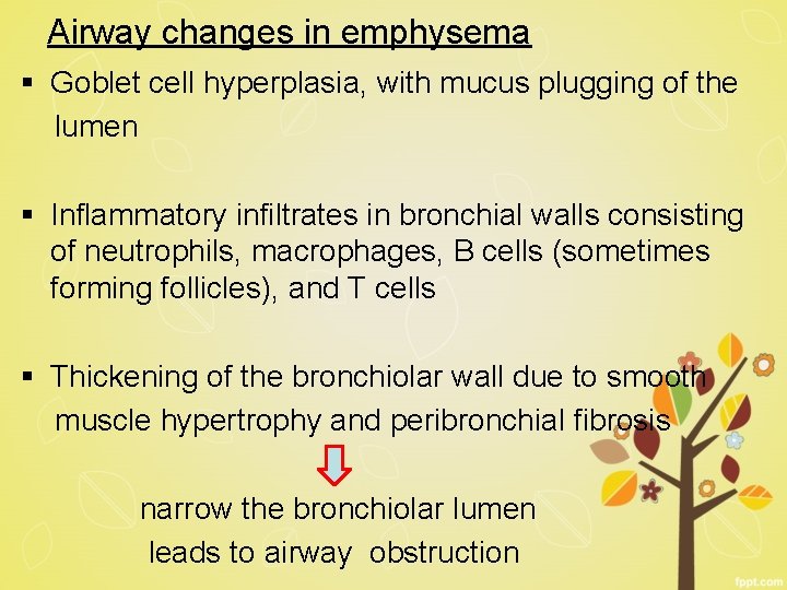 Airway changes in emphysema § Goblet cell hyperplasia, with mucus plugging of the lumen