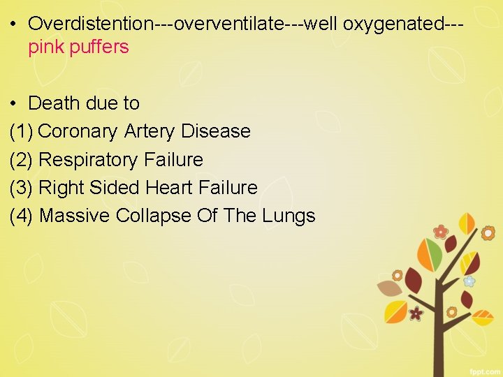  • Overdistention---overventilate---well oxygenated--pink puffers • Death due to (1) Coronary Artery Disease (2)