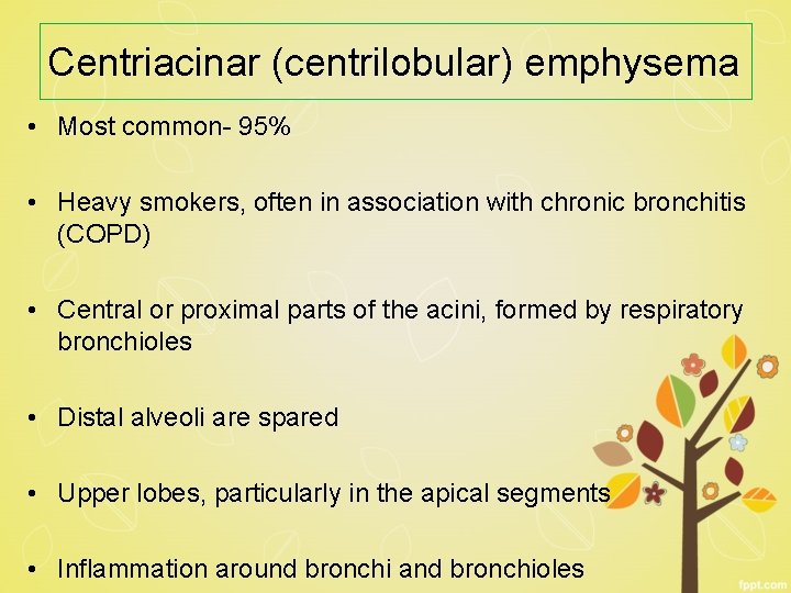 Centriacinar (centrilobular) emphysema • Most common- 95% • Heavy smokers, often in association with