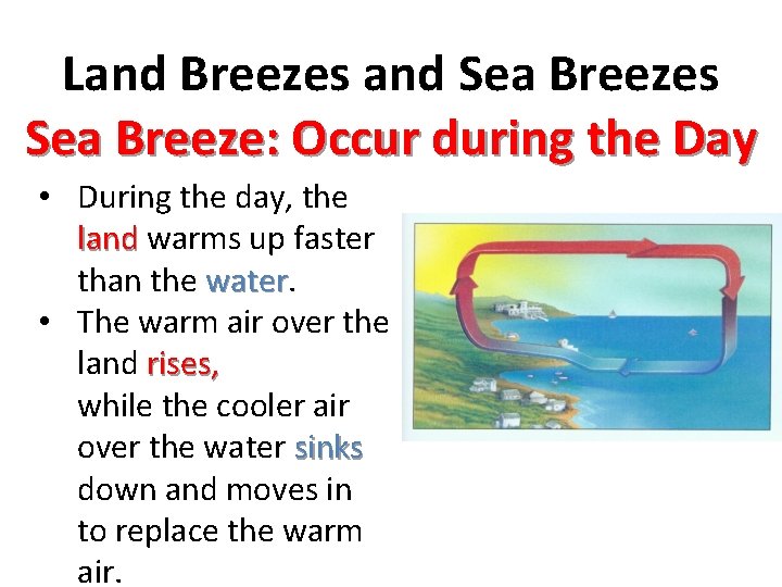 Land Breezes and Sea Breezes Sea Breeze: Occur during the Day • During the