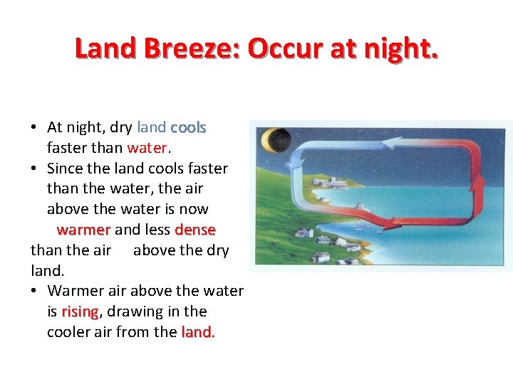 Land Breeze: Occur at night. • At night, dry land cools faster than water.