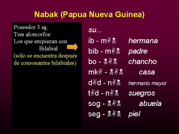 Nabak (Papua Nueva Guinea) Poseedor 3 sg. mi… Tres alomorfos: 1. empiezan ib con