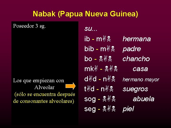 Nabak (Papua Nueva Guinea) Poseedor 3 sg. mi… 1. ib - m 2. bib