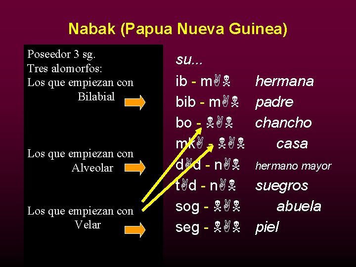 Nabak (Papua Nueva Guinea) Poseedor 3 sg. mi… Tres alomorfos: 1. empiezan ib con