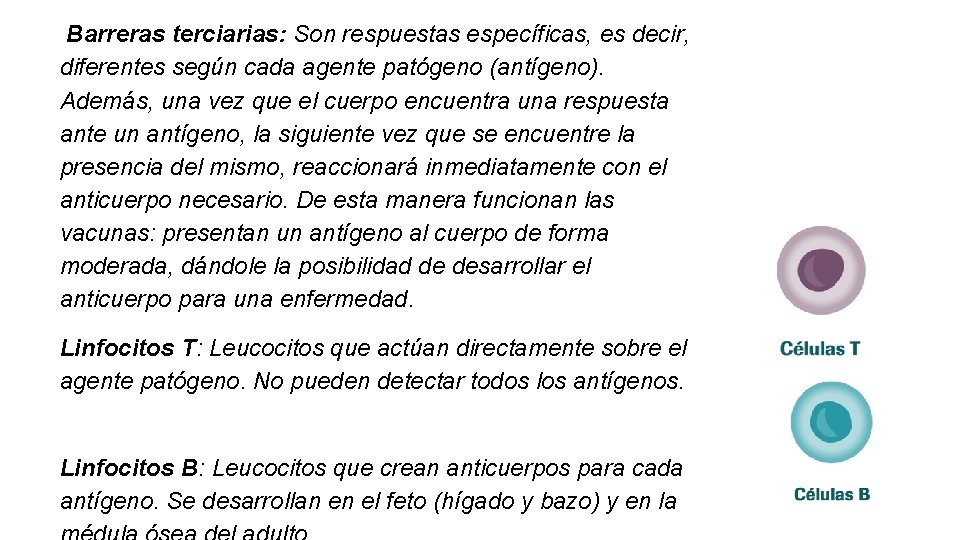  Barreras terciarias: Son respuestas específicas, es decir, diferentes según cada agente patógeno (antígeno).