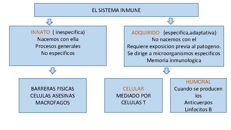 EL SISTEMA INMUNE INNATO ( inespecifica) Nacemos con ella Procesos generales No especificos BARRERAS