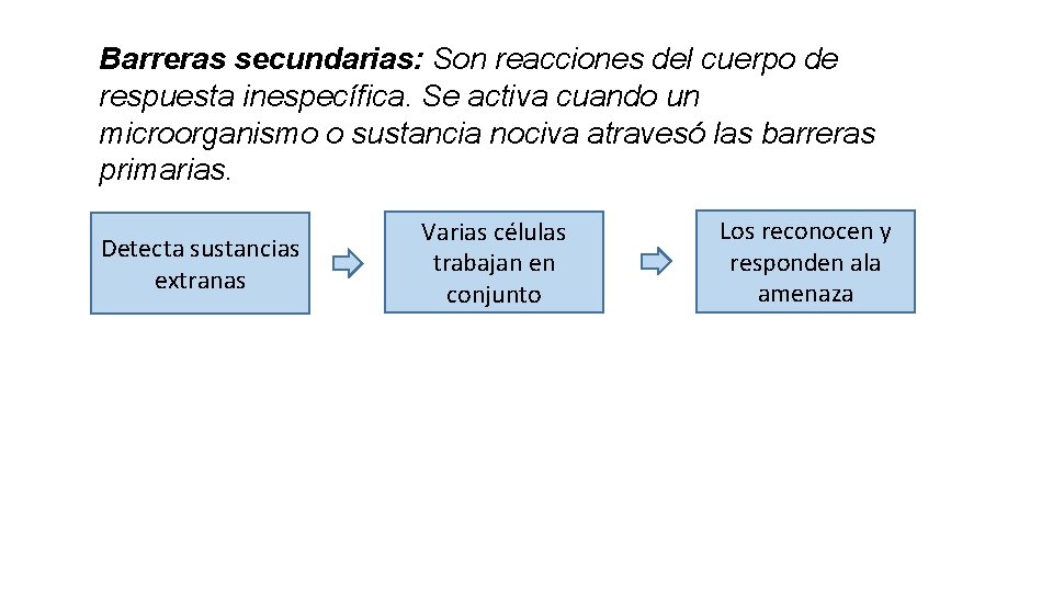 Barreras secundarias: Son reacciones del cuerpo de respuesta inespecífica. Se activa cuando un microorganismo