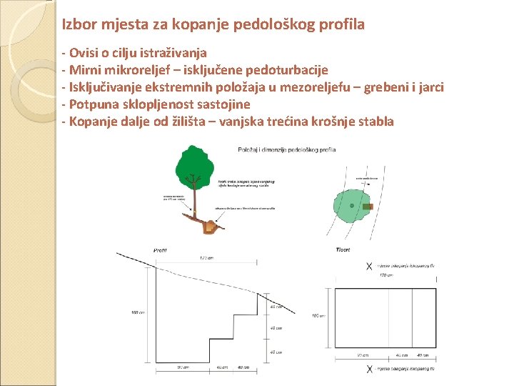 Izbor mjesta za kopanje pedološkog profila - Ovisi o cilju istraživanja - Mirni mikroreljef