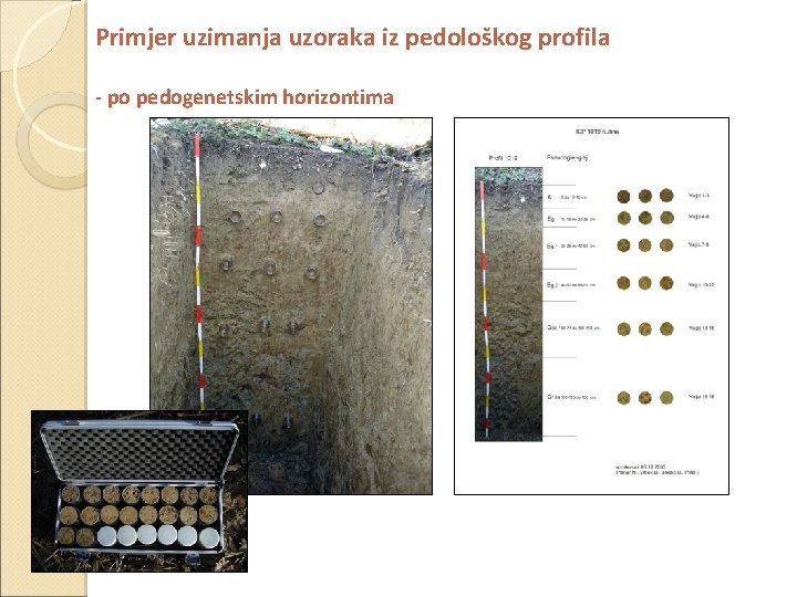 Primjer uzimanja uzoraka iz pedološkog profila - po pedogenetskim horizontima 