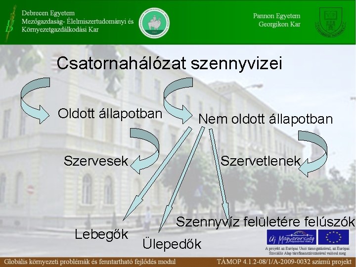 Csatornahálózat szennyvizei Oldott állapotban Nem oldott állapotban Szervesek Lebegők Szervetlenek Szennyvíz felületére felúszók Ülepedők