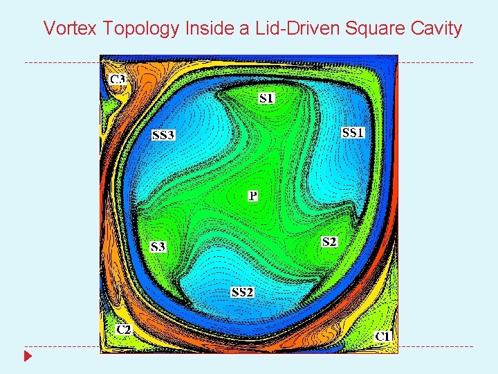 Vortex Topology Inside a Lid-Driven Square Cavity 