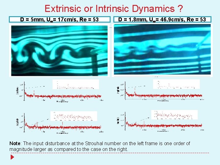 Extrinsic or Intrinsic Dynamics ? D = 5 mm, U = 17 cm/s, Re