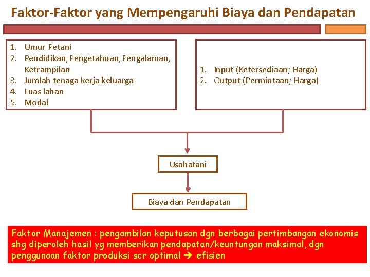 Faktor-Faktor yang Mempengaruhi Biaya dan Pendapatan 1. Umur Petani 2. Pendidikan, Pengetahuan, Pengalaman, Ketrampilan