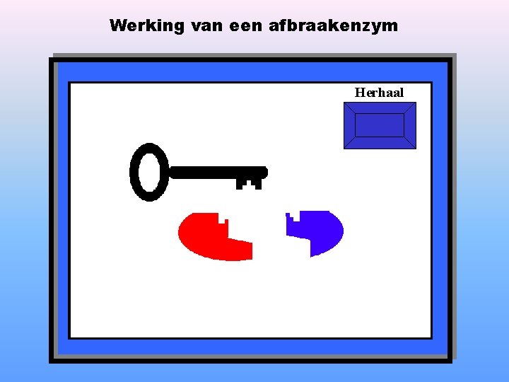 Werking van een afbraakenzym Herhaal 