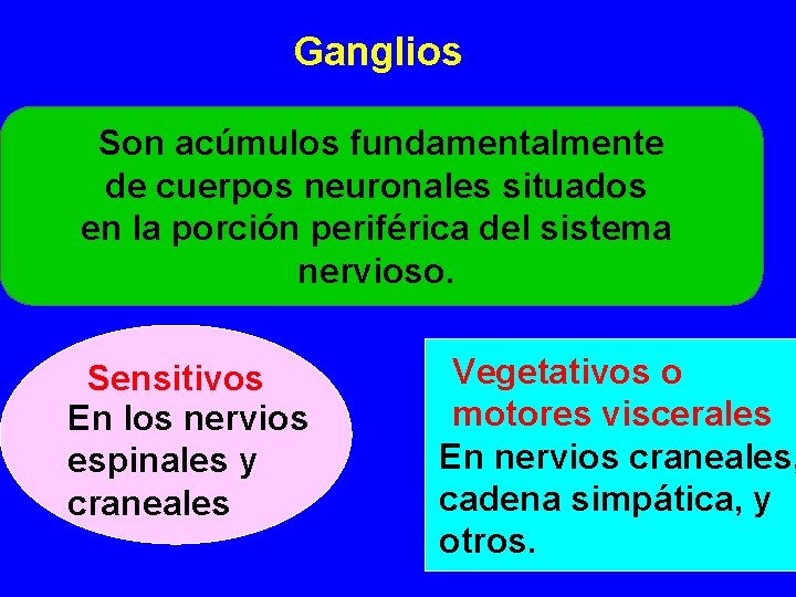 Ganglios Son acúmulos fundamentalmente de cuerpos neuronales situados en la porción periférica del sistema