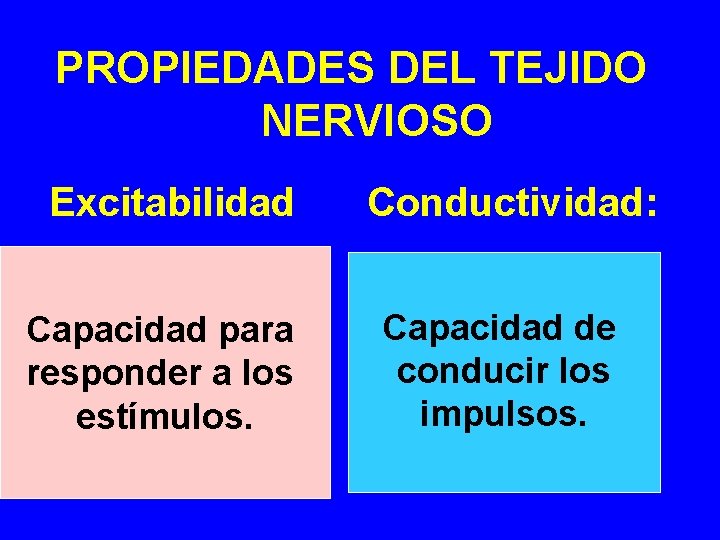  PROPIEDADES DEL TEJIDO NERVIOSO Excitabilidad Conductividad: Capacidad para responder a los estímulos. Capacidad