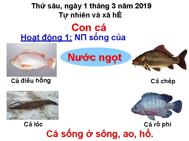 Thứ sáu, ngày 1 tháng 3 năm 2019 Tự nhiên và xã hĖ Con