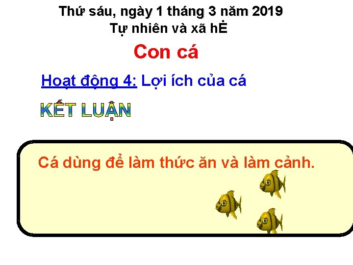 Thứ sáu, ngày 1 tháng 3 năm 2019 Tự nhiên và xã hĖ Con