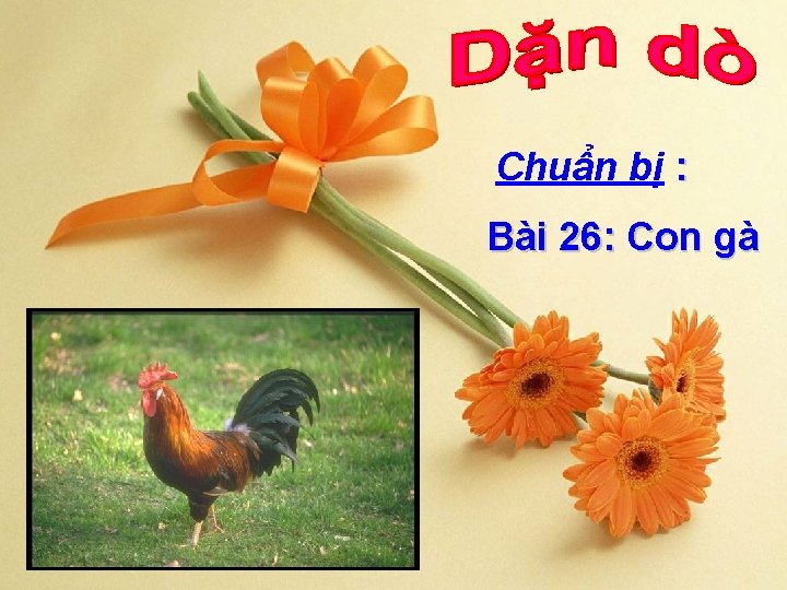 Chuẩn bị : Bài 26: Con gà 