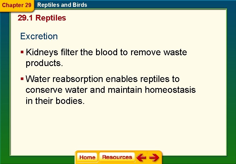 Chapter 29 Reptiles and Birds 29. 1 Reptiles Excretion § Kidneys filter the blood
