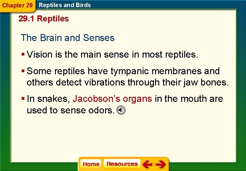 Chapter 29 Reptiles and Birds 29. 1 Reptiles The Brain and Senses § Vision