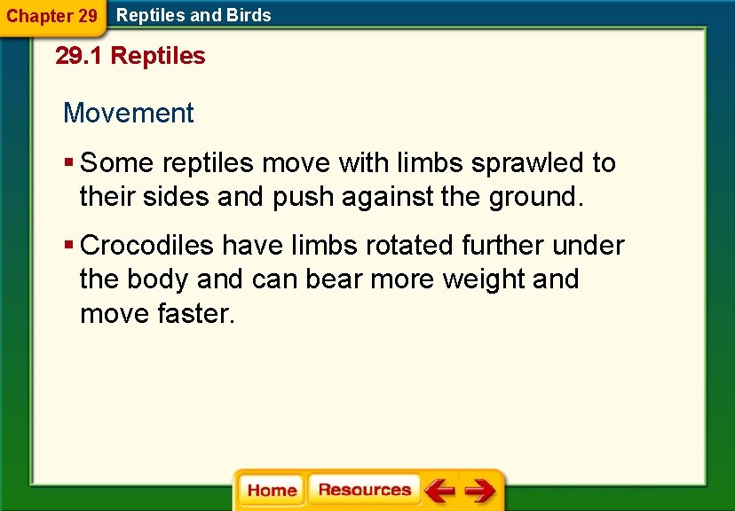 Chapter 29 Reptiles and Birds 29. 1 Reptiles Movement § Some reptiles move with