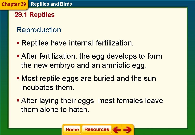 Chapter 29 Reptiles and Birds 29. 1 Reptiles Reproduction § Reptiles have internal fertilization.
