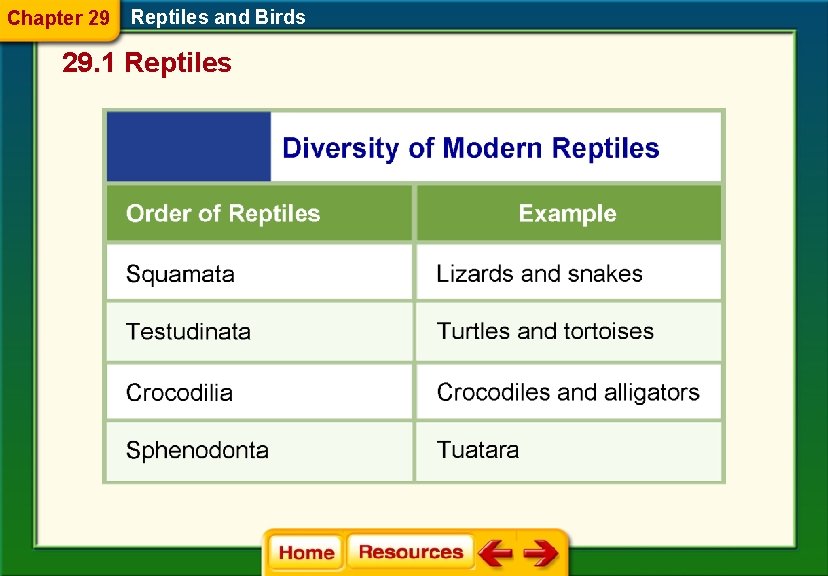 Chapter 29 Reptiles and Birds 29. 1 Reptiles 