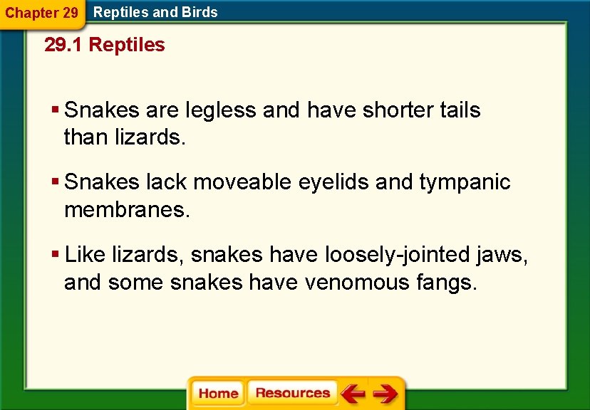 Chapter 29 Reptiles and Birds 29. 1 Reptiles § Snakes are legless and have