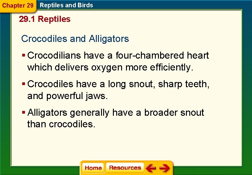 Chapter 29 Reptiles and Birds 29. 1 Reptiles Crocodiles and Alligators § Crocodilians have