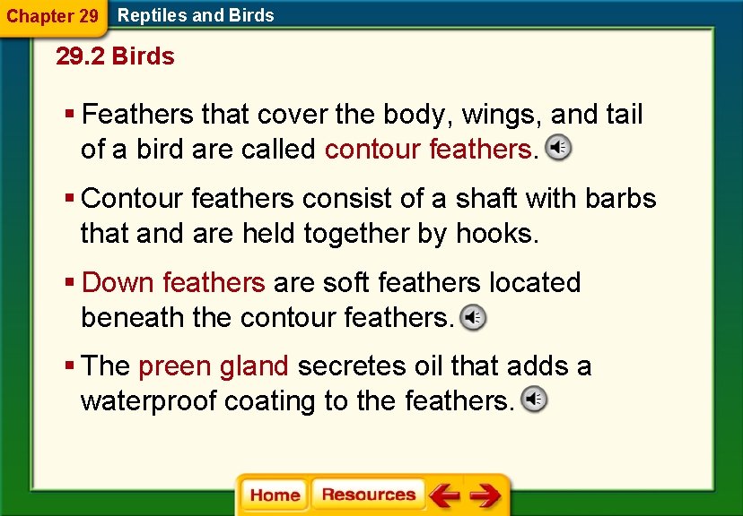 Chapter 29 Reptiles and Birds 29. 2 Birds § Feathers that cover the body,