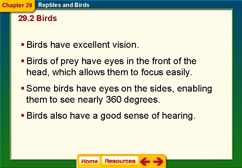 Chapter 29 Reptiles and Birds 29. 2 Birds § Birds have excellent vision. §