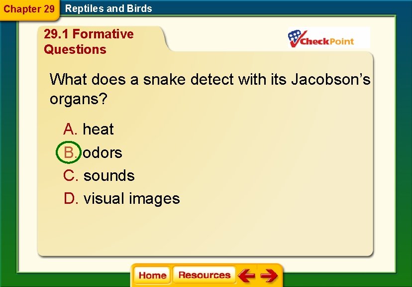 Chapter 29 Reptiles and Birds 29. 1 Formative Questions What does a snake detect