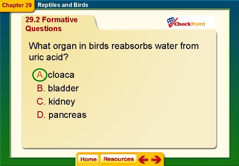 Chapter 29 Reptiles and Birds 29. 2 Formative Questions What organ in birds reabsorbs