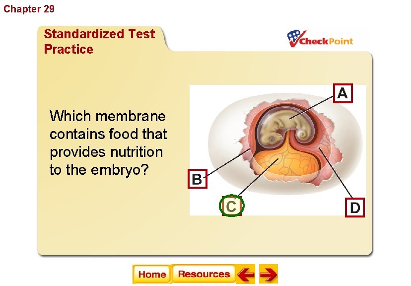 Chapter 29 Reptiles and Birds Standardized Test Practice Which membrane contains food that provides