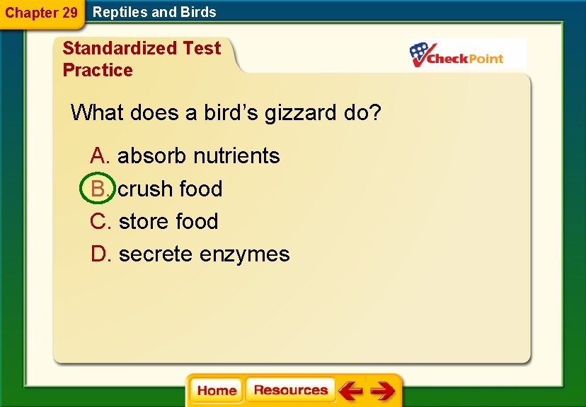 Chapter 29 Reptiles and Birds Standardized Test Practice What does a bird’s gizzard do?