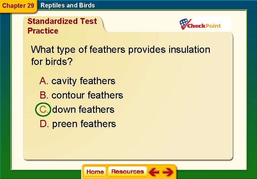 Chapter 29 Reptiles and Birds Standardized Test Practice What type of feathers provides insulation