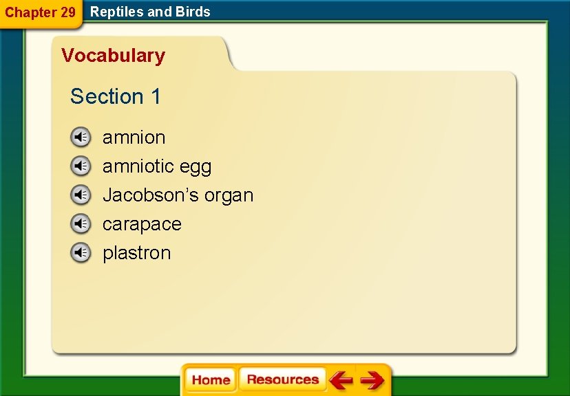 Chapter 29 Reptiles and Birds Vocabulary Section 1 amnion amniotic egg Jacobson’s organ carapace