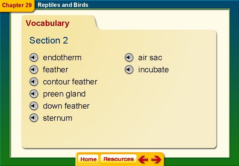 Chapter 29 Reptiles and Birds Vocabulary Section 2 endotherm air sac feather contour feather