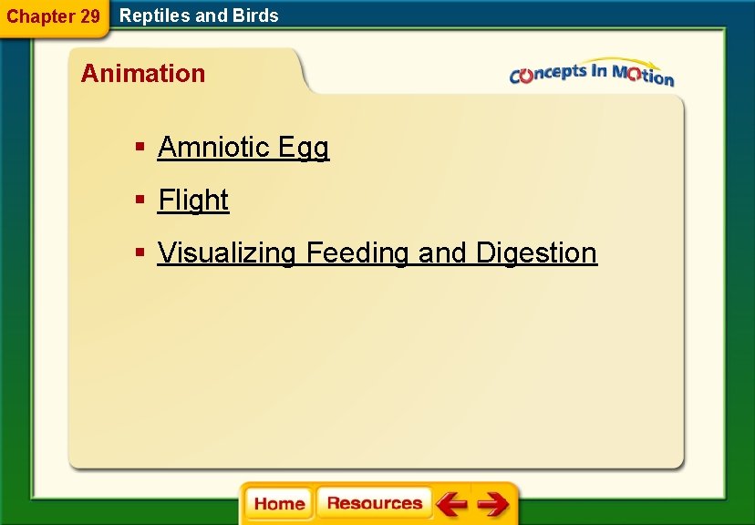 Chapter 29 Reptiles and Birds Animation § Amniotic Egg § Flight § Visualizing Feeding