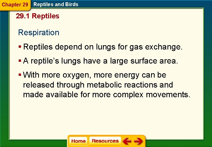Chapter 29 Reptiles and Birds 29. 1 Reptiles Respiration § Reptiles depend on lungs