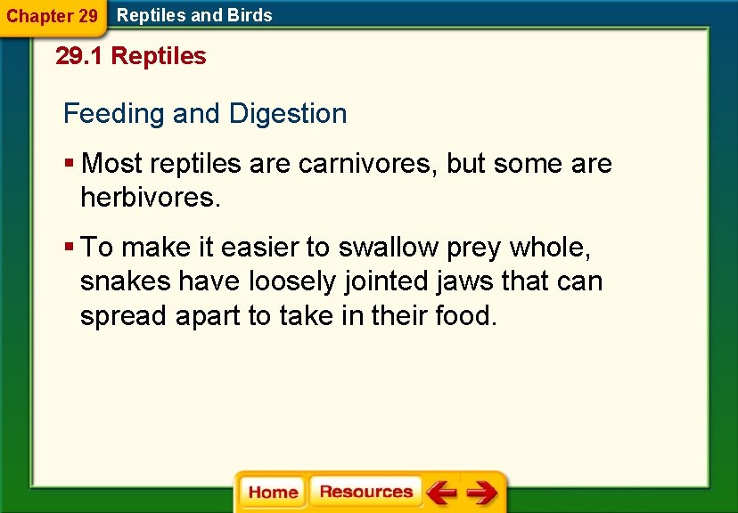 Chapter 29 Reptiles and Birds 29. 1 Reptiles Feeding and Digestion § Most reptiles