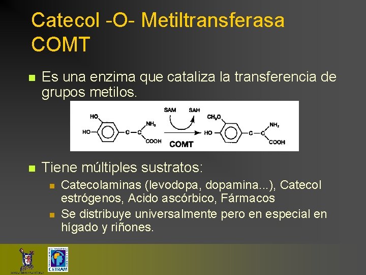Catecol -O- Metiltransferasa COMT n Es una enzima que cataliza la transferencia de grupos