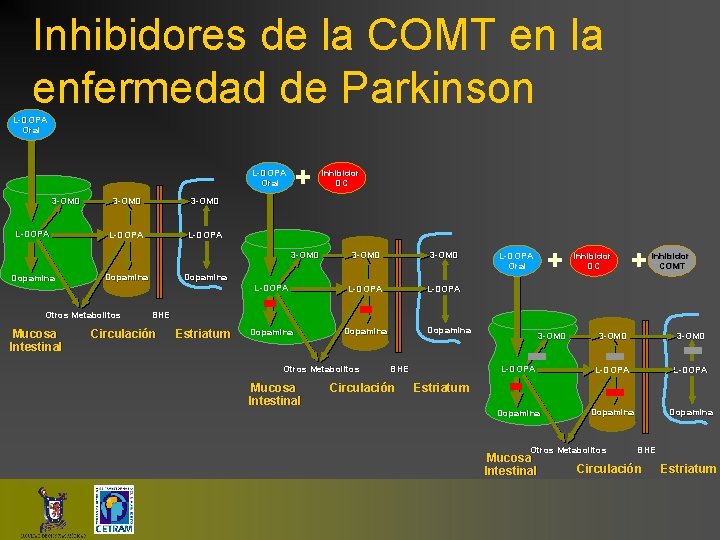 Inhibidores de la COMT en la enfermedad de Parkinson L-DOPA Oral + L-DOPA Oral