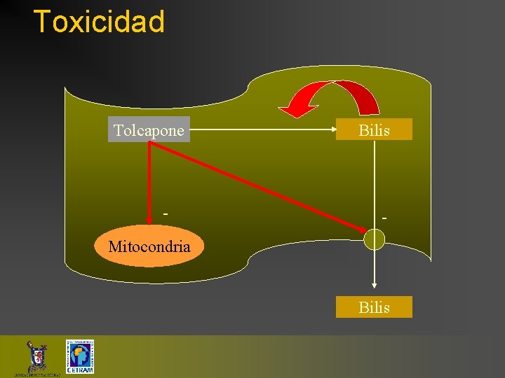 Toxicidad Tolcapone - Bilis - Mitocondria Bilis 